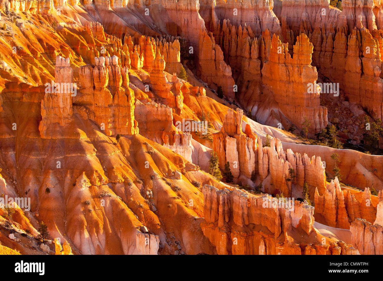 Le formazioni rocciose - Hoodoos, al tramonto, Punto di Bryce Canyon National Park nello Utah Stati Uniti d'America Foto Stock