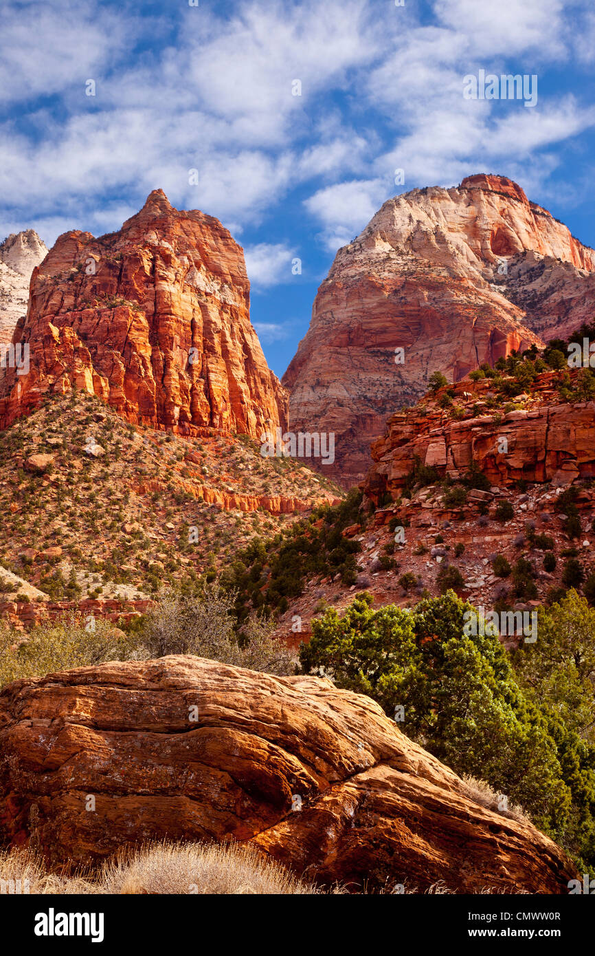 Le formazioni rocciose, Zion National Park nello Utah Stati Uniti d'America Foto Stock