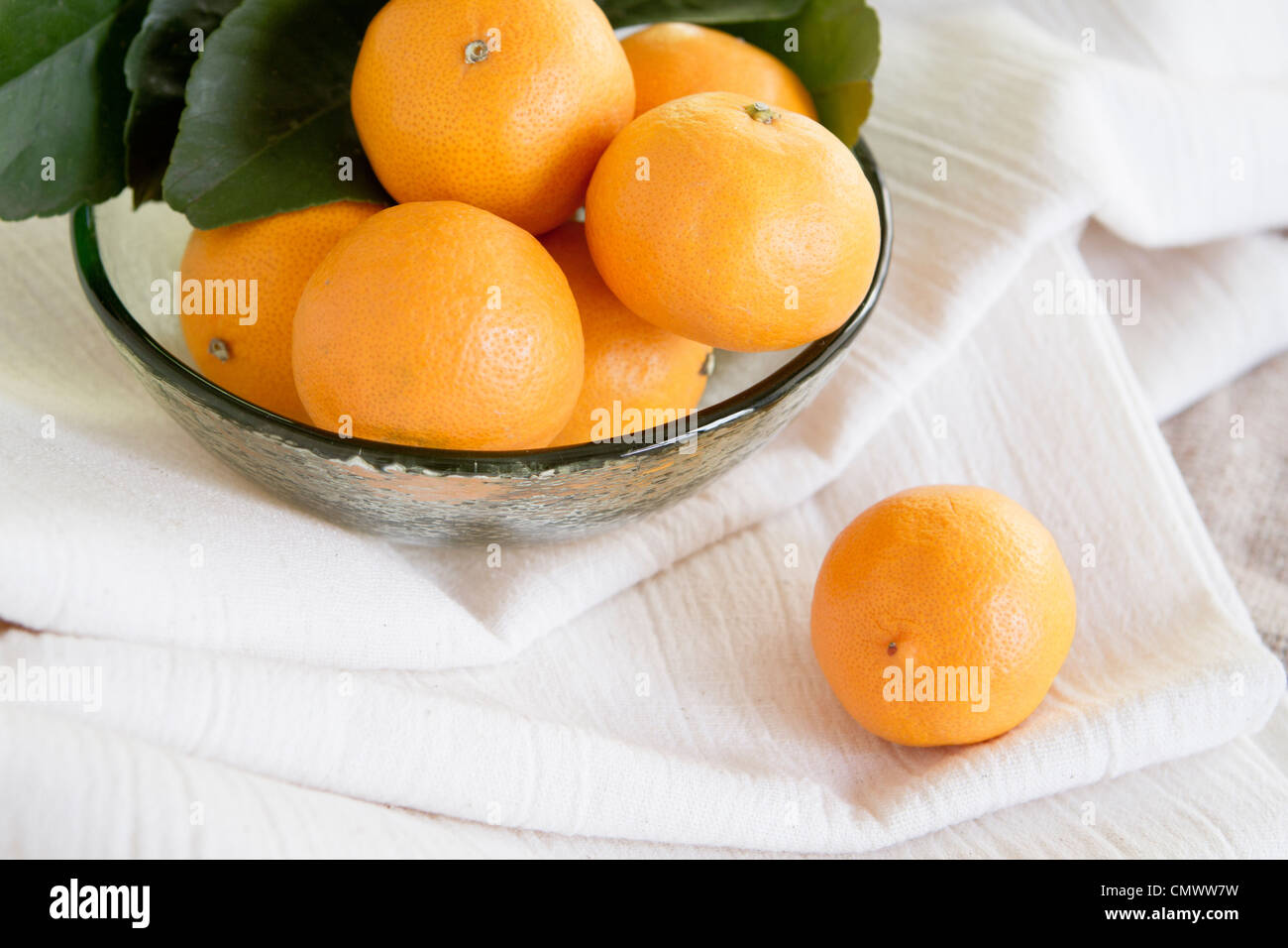 Pixie tangerini da Ojai, California. Foto Stock
