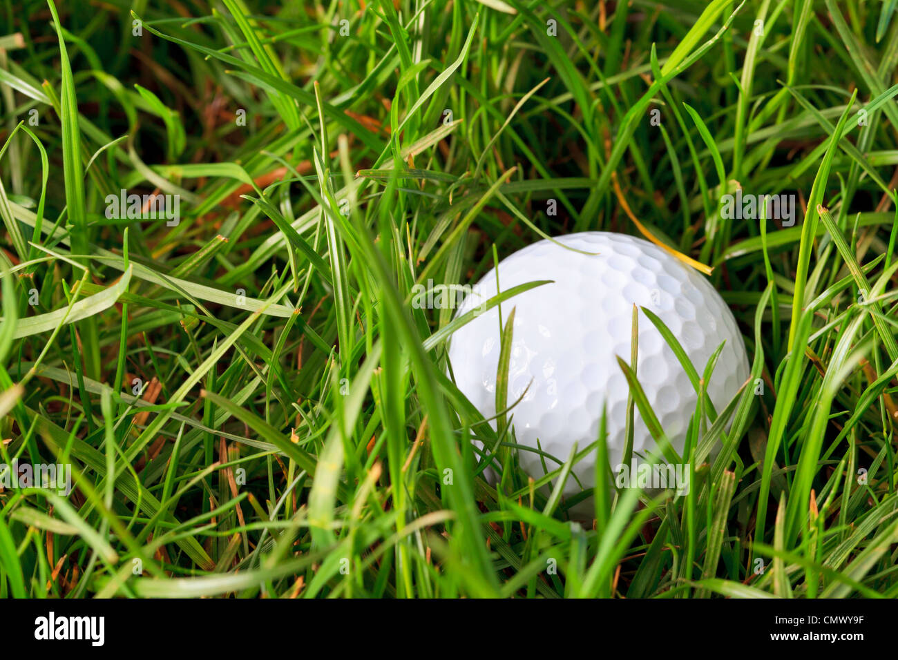 Foto di una pallina da golf giacente in erba ruvida Foto Stock