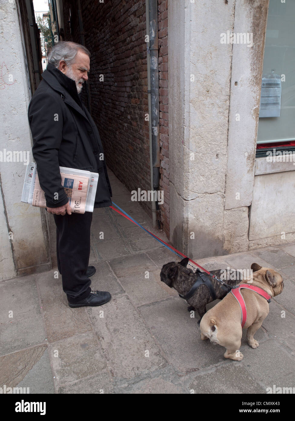 Cane a camminare a Venezia Foto Stock