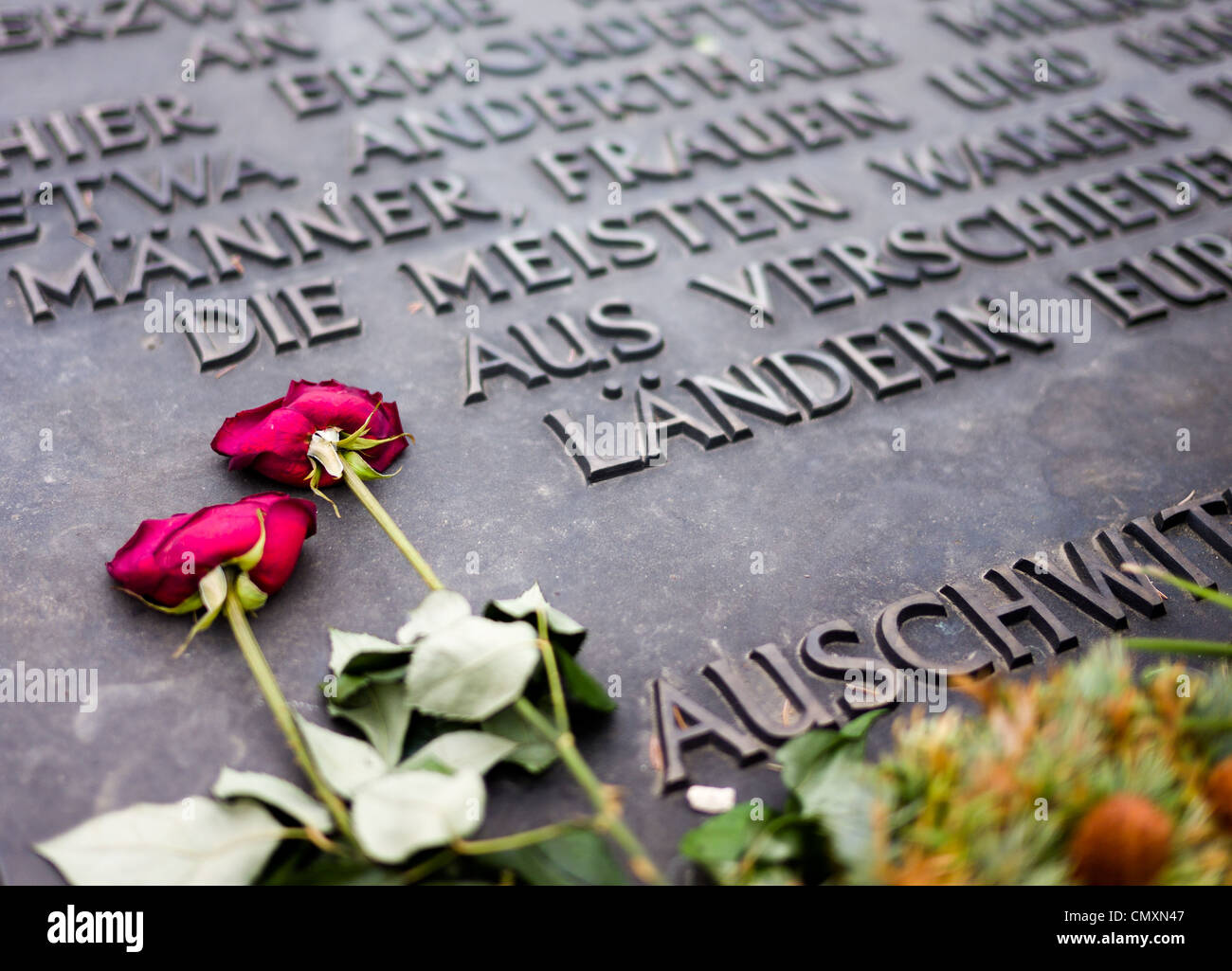 Rose rosse poste sulla Auschwitz II Birkenau memorial, Polonia Foto stock -  Alamy