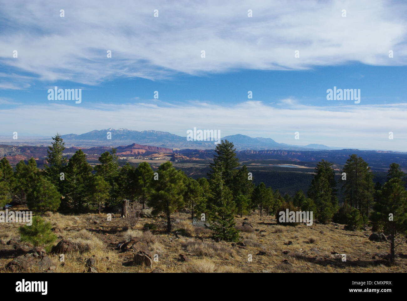 Ampia vista sulle foreste, Waterpocket Fold e Henry Mountains con inferiore serbatoio Bowns, Utah Foto Stock