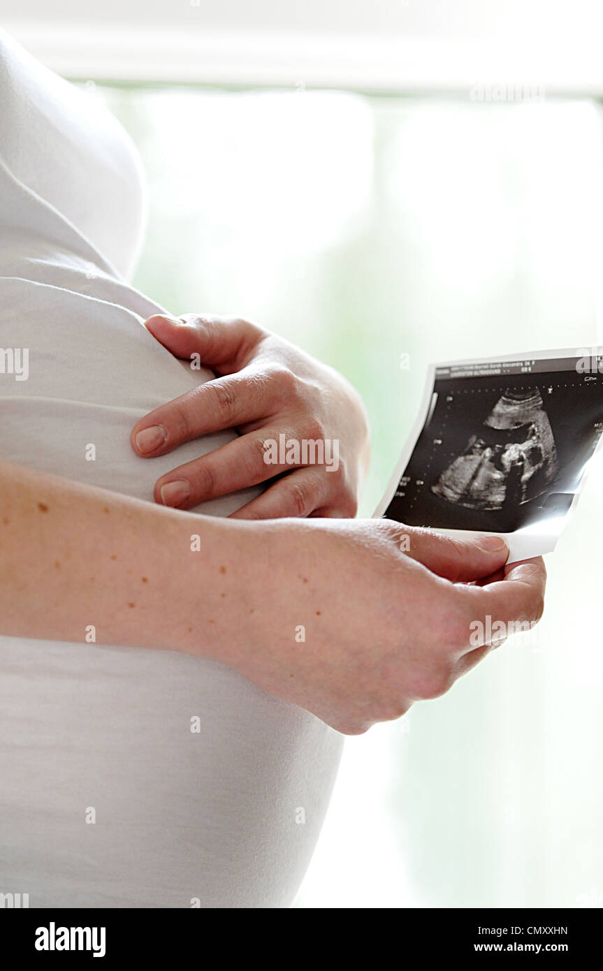 7 mese di gravidanza bump con mani e t-shirt bianco baby bump gravidanza Foto Stock