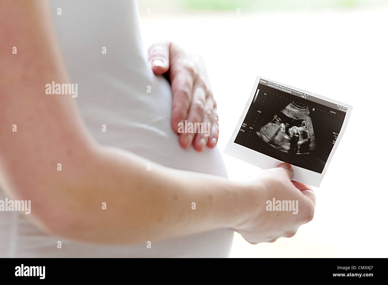 7 mese di gravidanza bump con mani e t-shirt bianco baby bump gravidanza Foto Stock