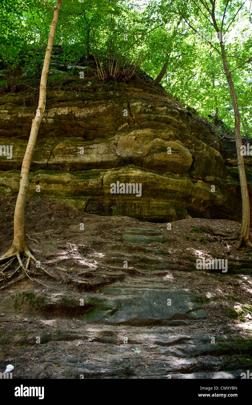 Starved rock in Illinois foresta. Foto Stock