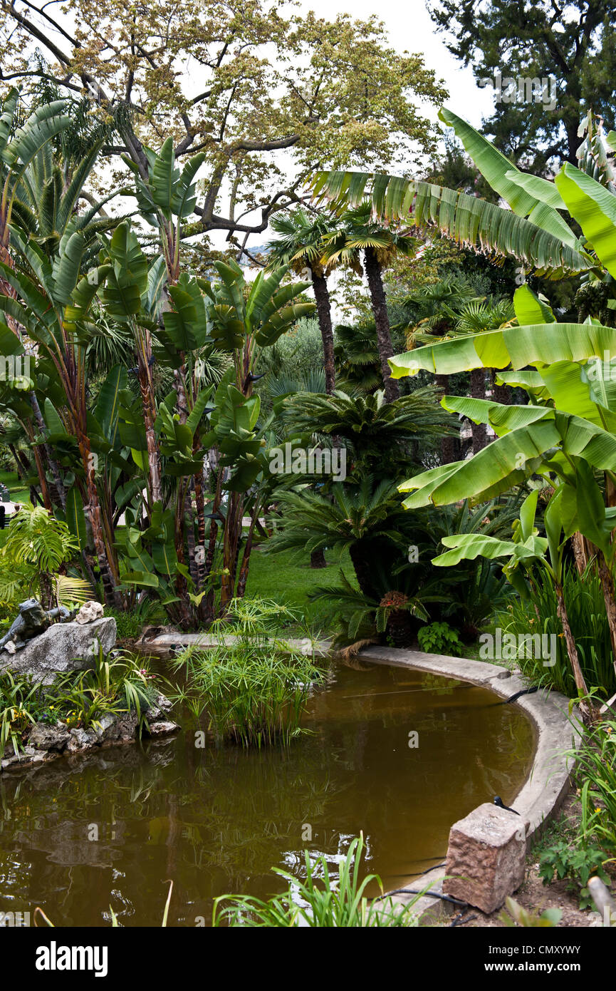 Un colpo di colore di uno stagno circondato da vegetazione fresca in un parco di Monaco. Foto Stock