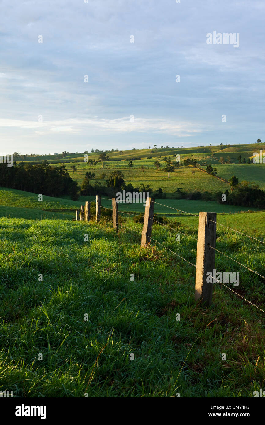 Recinzione che si estende su terreni agricoli di laminazione sull'altopiano di Atherton. Millaa Millaa, Queensland, Australia Foto Stock