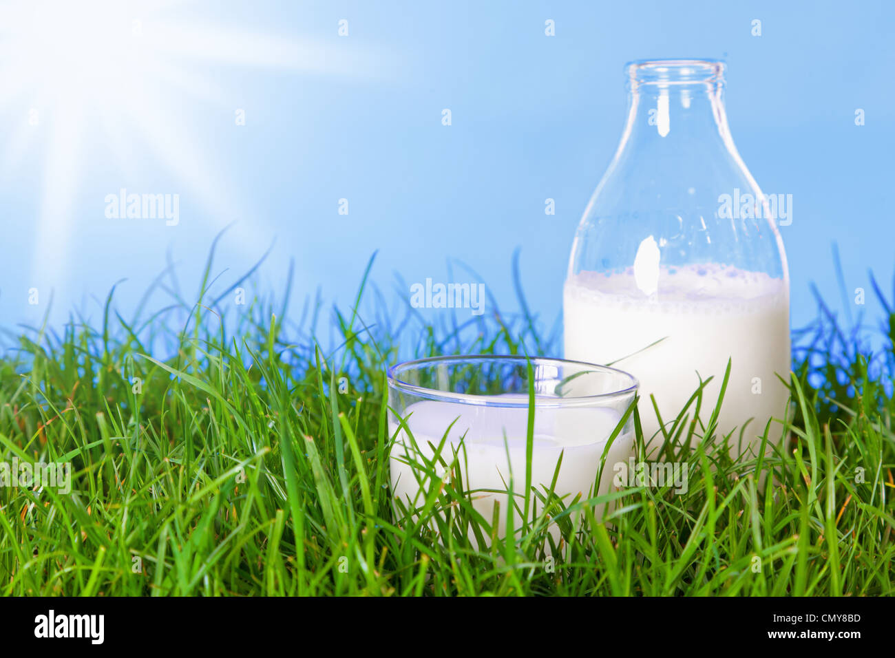 Foto di un vetro e una bottiglia di latte fresco in un campo di erba su una giornata d'estate. Foto Stock