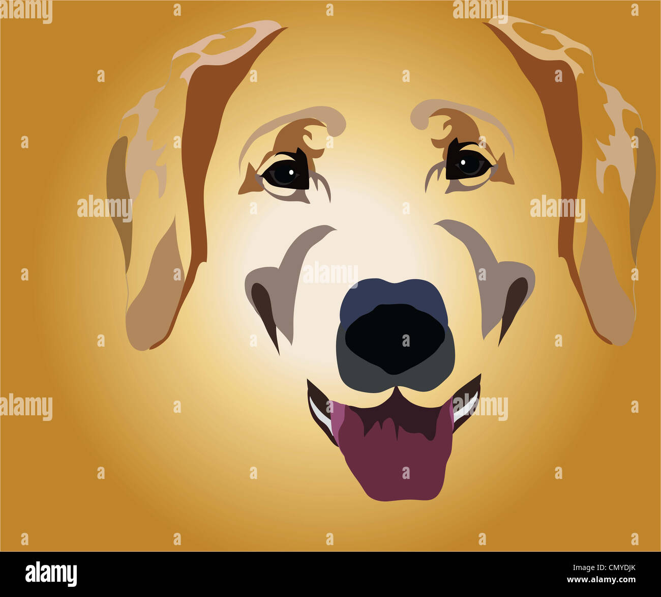 muso di cane Foto Stock