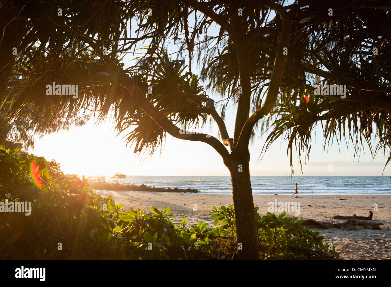 Vista attraverso le palme pandanus a Four Mile Beach all'alba. Port Douglas, Queensland, Australia Foto Stock