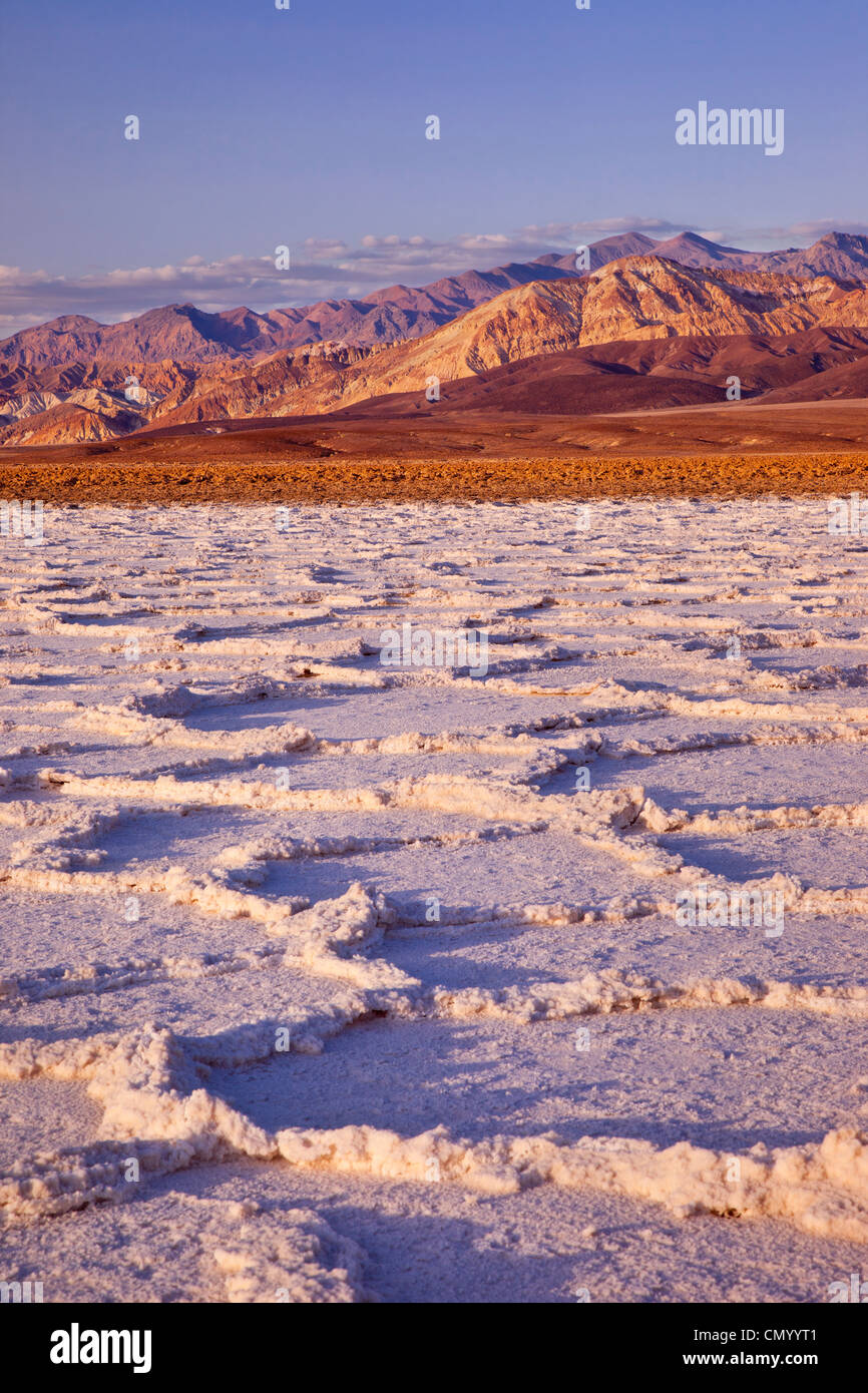 Poligoni di sale vicino bacino Badwater, Death Valley, California USA Foto Stock