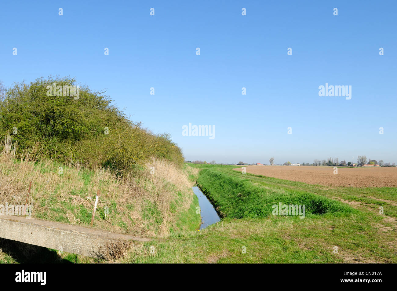 Fenland's Lincolnshire Inghilterra. Foto Stock