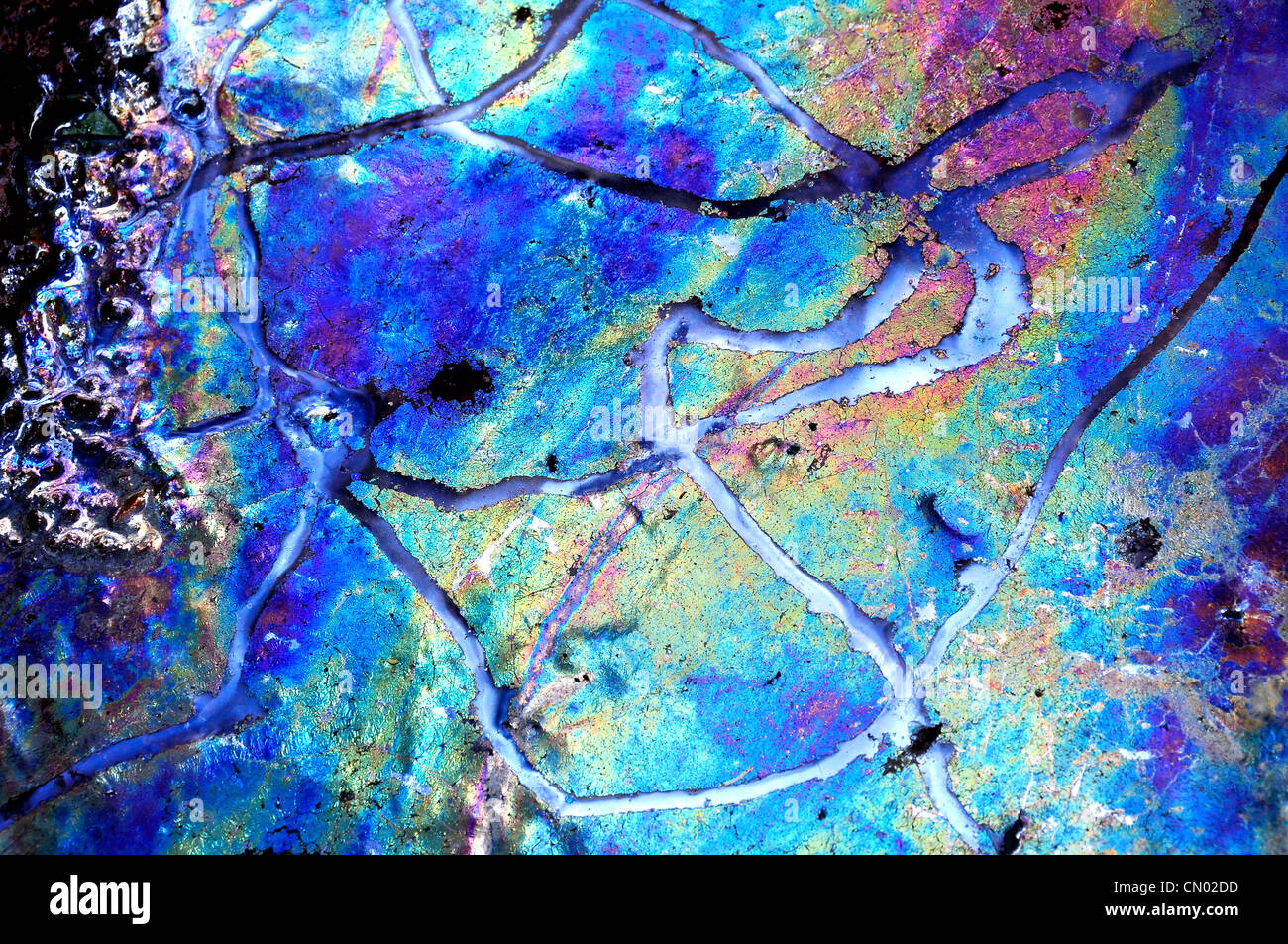 Ossido di ferro a molla in Coyote Gulch, un affluente del fiume Escalante nel sud dello Utah. Foto Stock