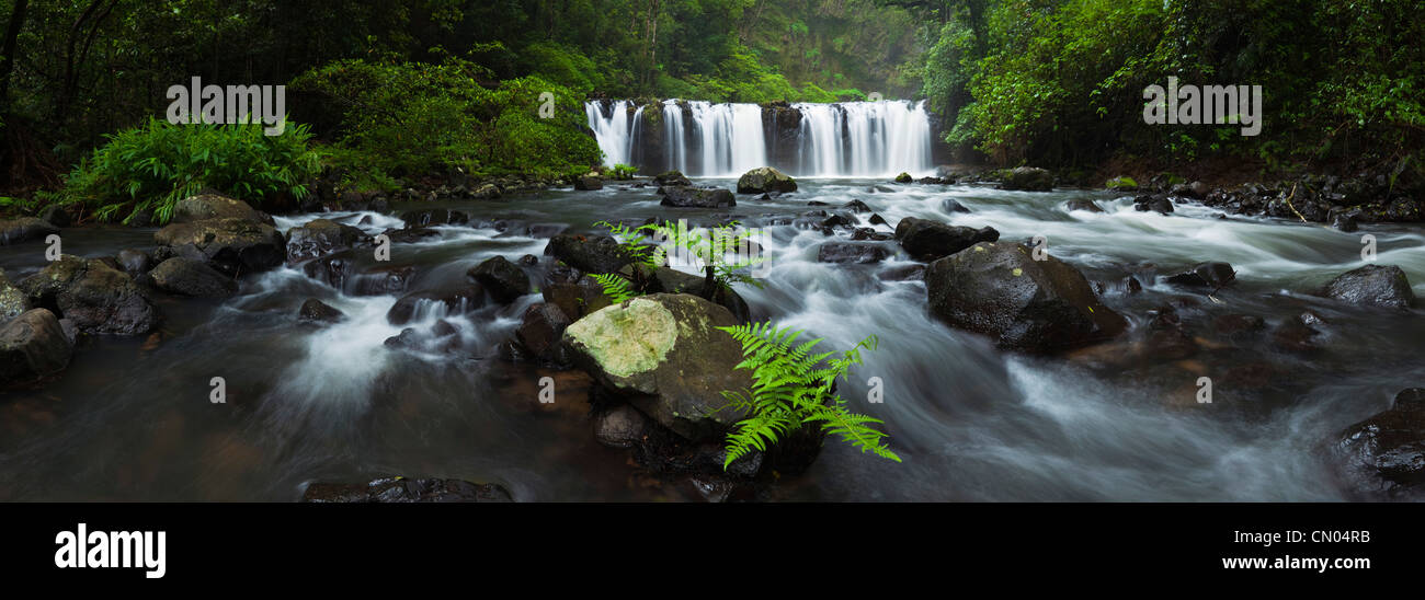 Nandroya cade in Wooroonooran National Park. Altopiano di Atherton, Innisfail, Queensland, Australia Foto Stock