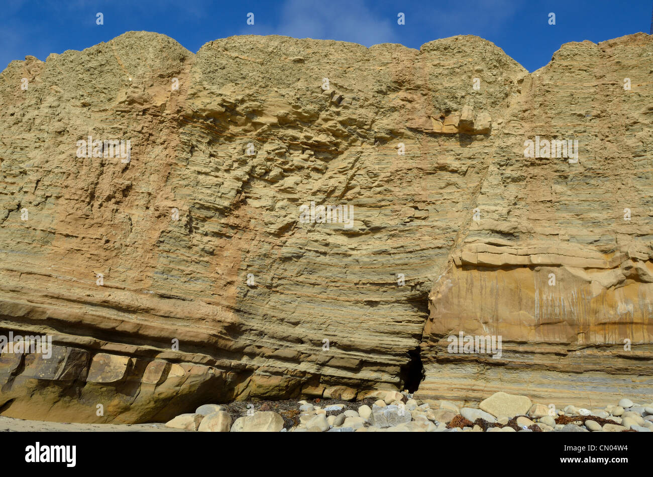 Una anomalia normale offset arenaria stratificata. San Diego, California, Stati Uniti d'America. Foto Stock