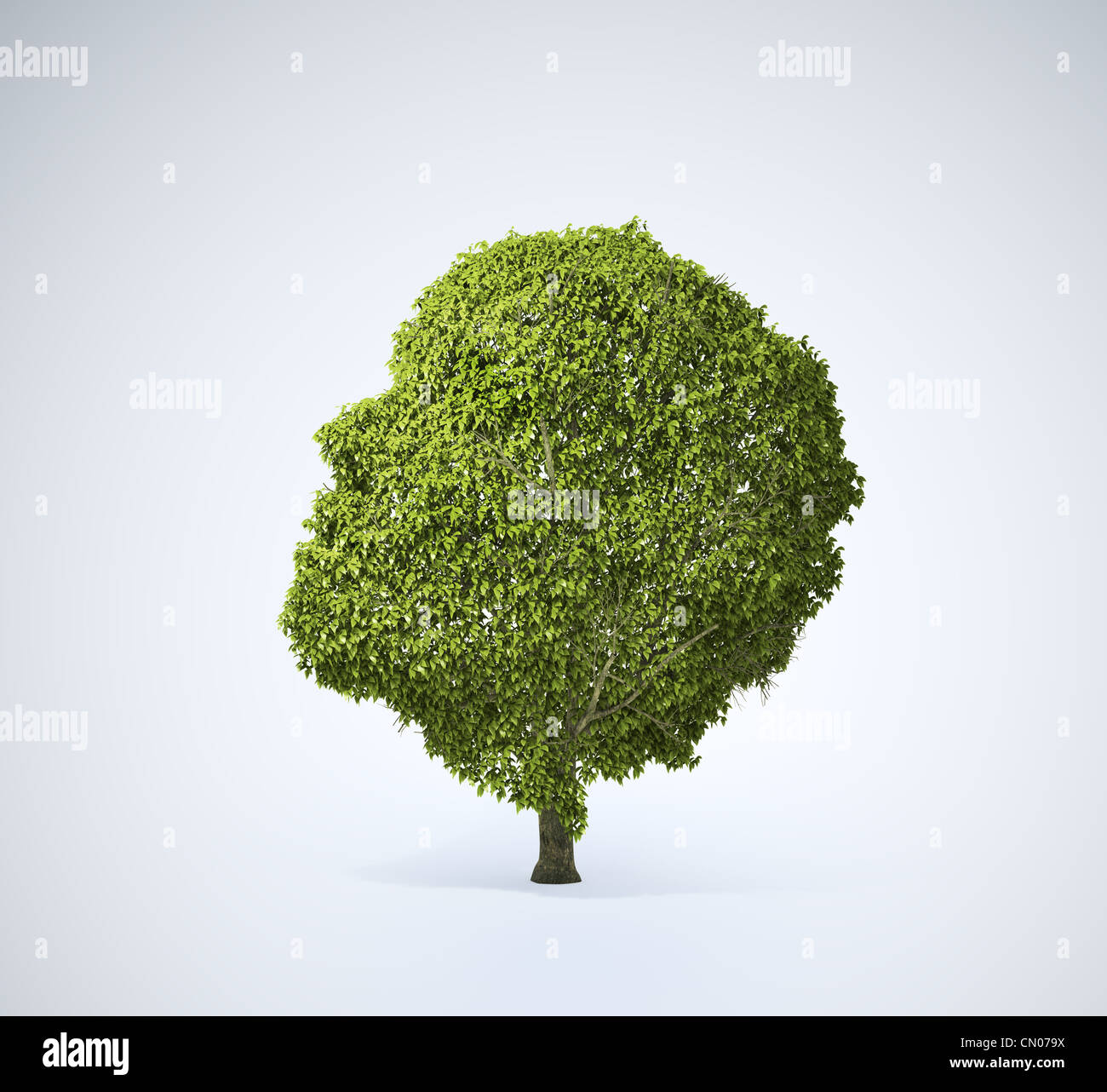 Testa albero sagomato Foto Stock