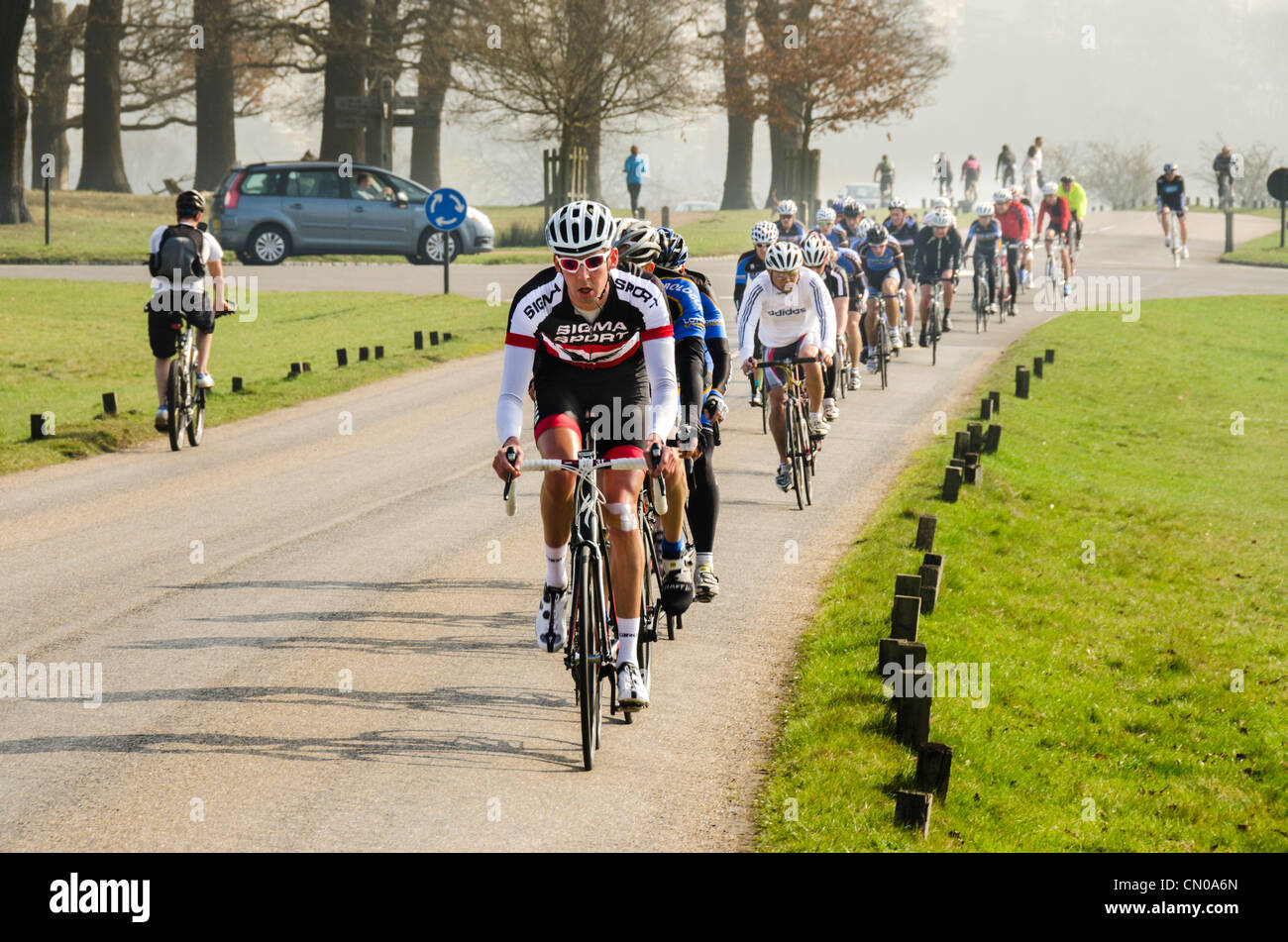 Pack o il gruppetto di ciclisti in formazione in Richmond Park, Londra Foto Stock