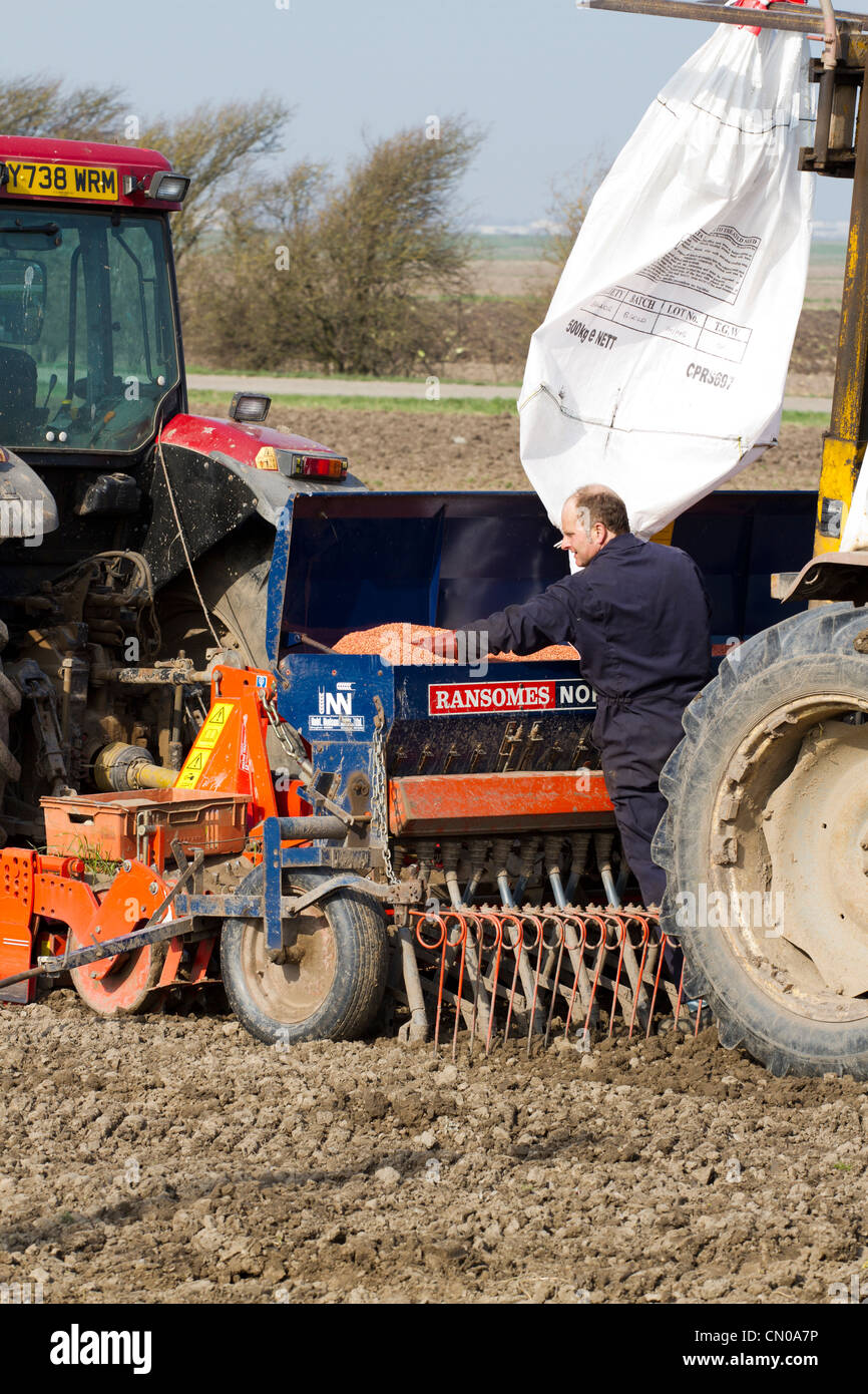 Un agricoltore il rifornimento di un Ransomes Nordsten CLB 4 metro trapano di grano in Southport, Regno Unito Foto Stock