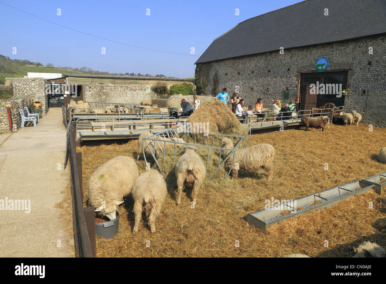 I visitatori e i turisti al sole a Birling Gap Centro di pecora, Vicino Oriente Dean, East Sussex, Inghilterra. Foto Stock