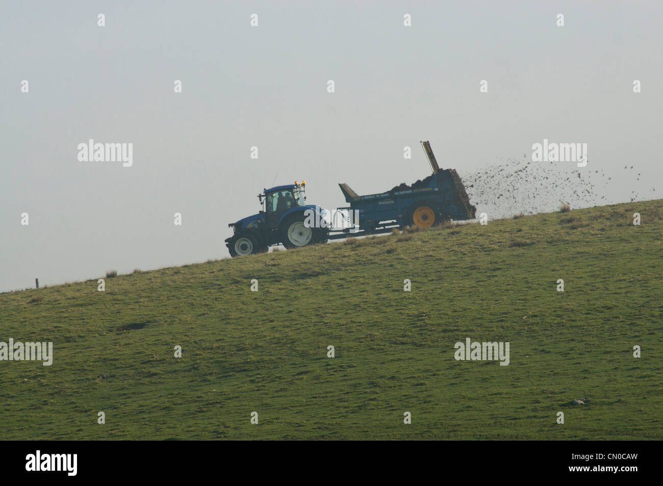 Il trattore spargimento del concime organico durante la primavera nel Yorkshire Dales Foto Stock