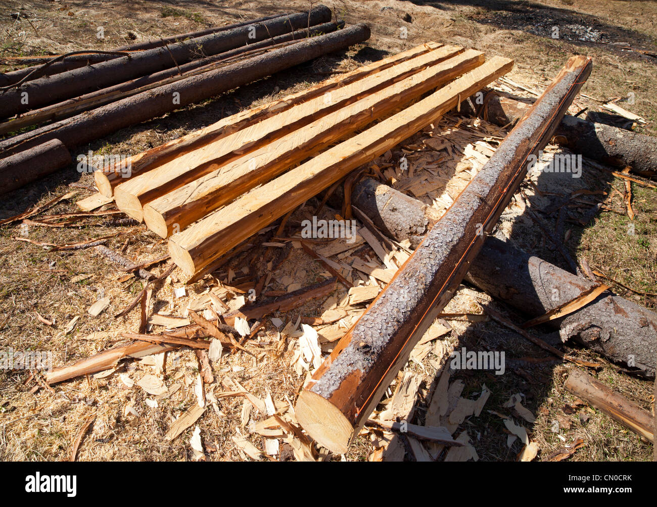 Abete rosso ( Picea abies ) log sono scortecciato e taglio di travi e utilizzata come materiale da costruzione , Finlandia Foto Stock