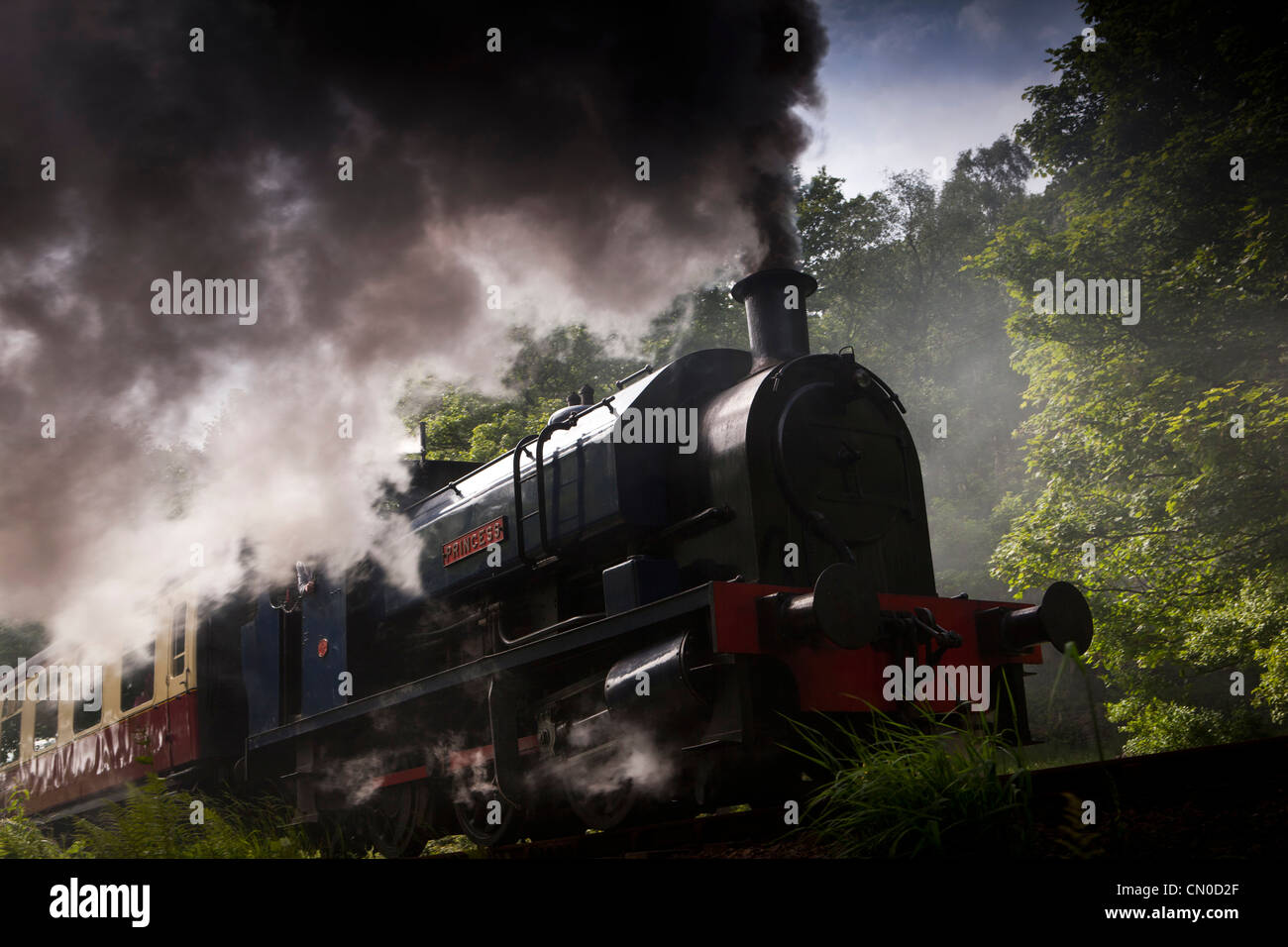 Regno Unito, Cumbria, Lakeside e ferrovia Haverthwaite, vapore loco princess uscire Newby Bridge station Foto Stock