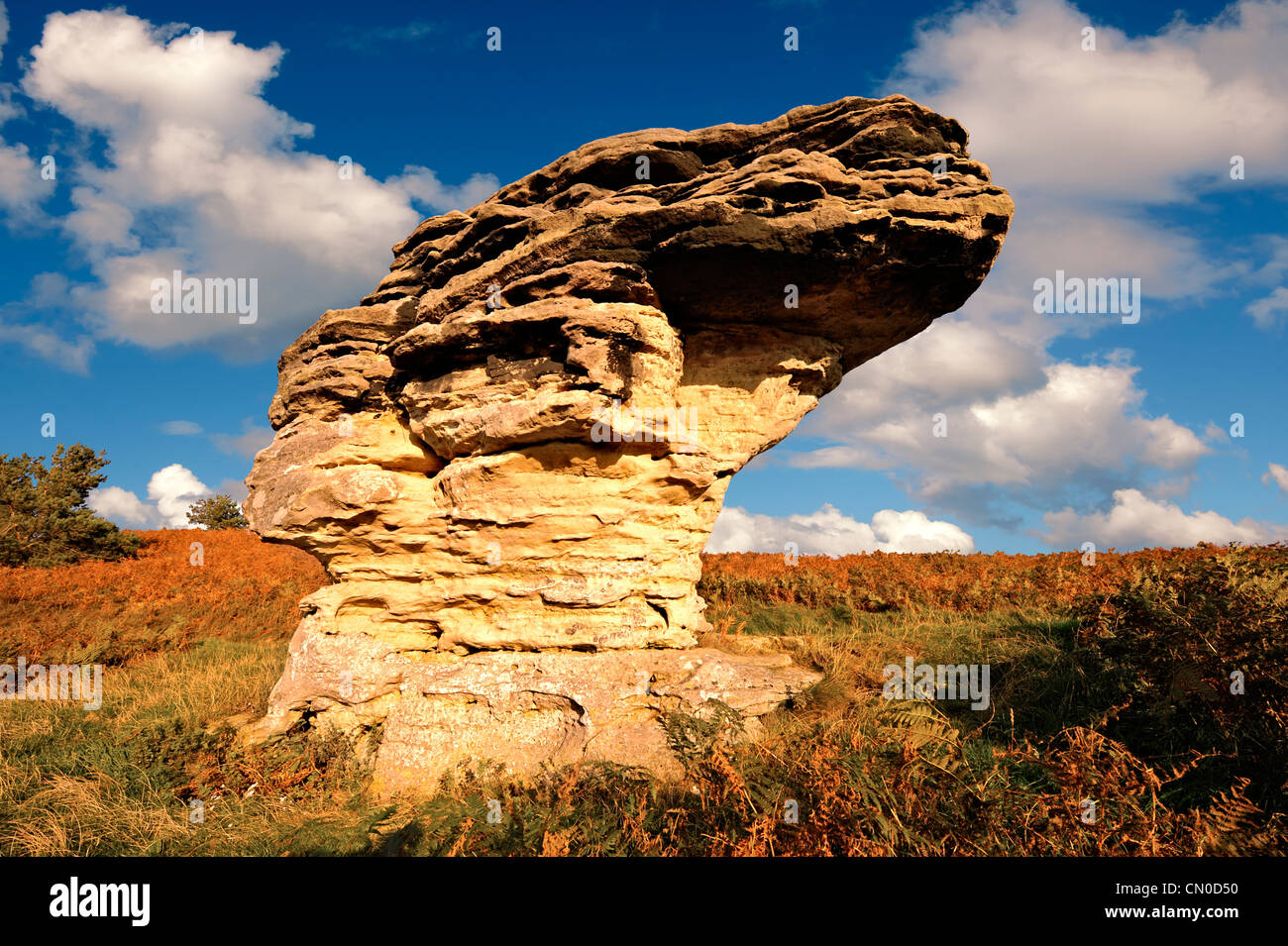 Bridestones formazioni rocciose North Yorks Moors National Park. Yorkshire . Inghilterra Foto Stock