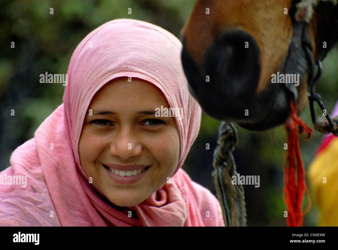 Western Desert Egitto Foto Stock