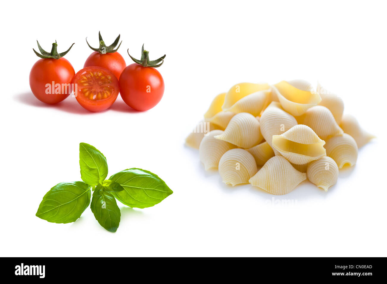 Pasta conchiglioni conchiglie, i pomodori e le foglie di basilico isolato Foto Stock