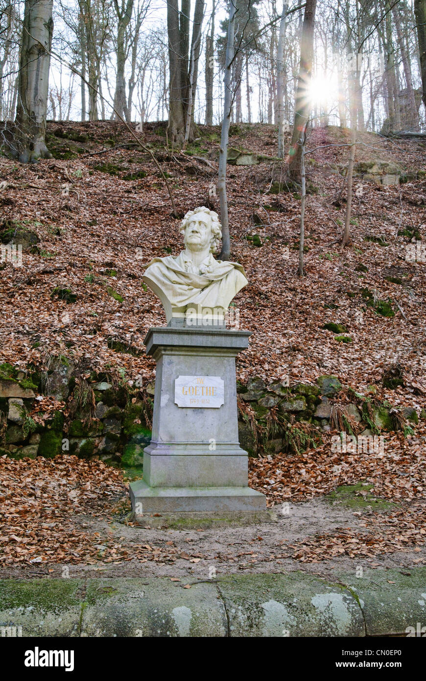 Busto statua di Goethe, Karlovy Vary Repubblica Ceca - Mar 2011 Foto Stock