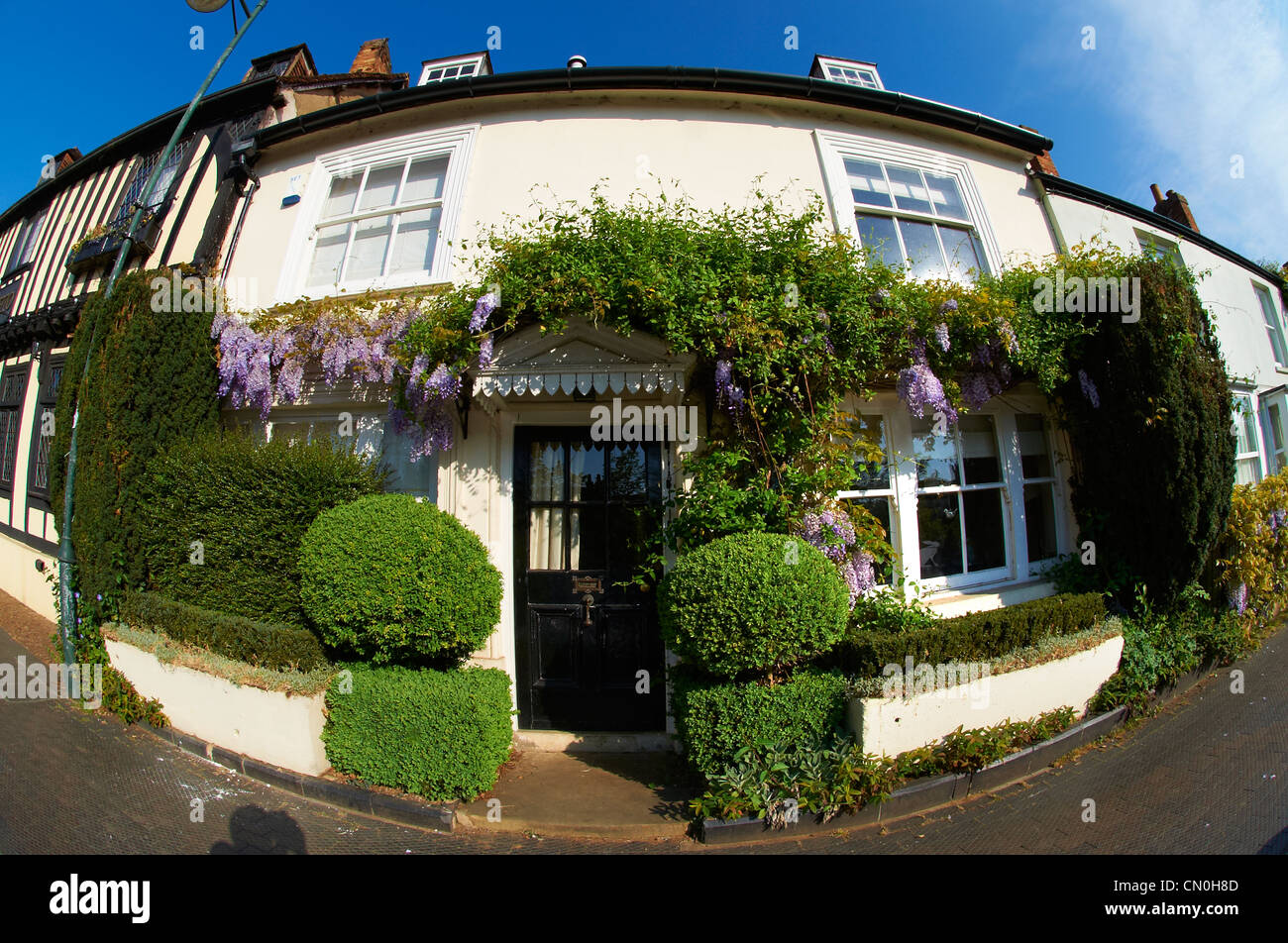 Città cottages con il glicine che crescono su di essi. Buckingham High Street, Bucks Foto Stock