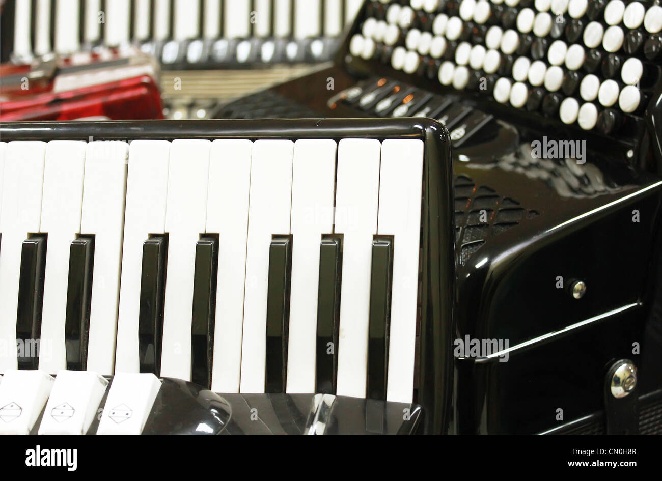 Gruppo di fisarmoniche Foto Stock