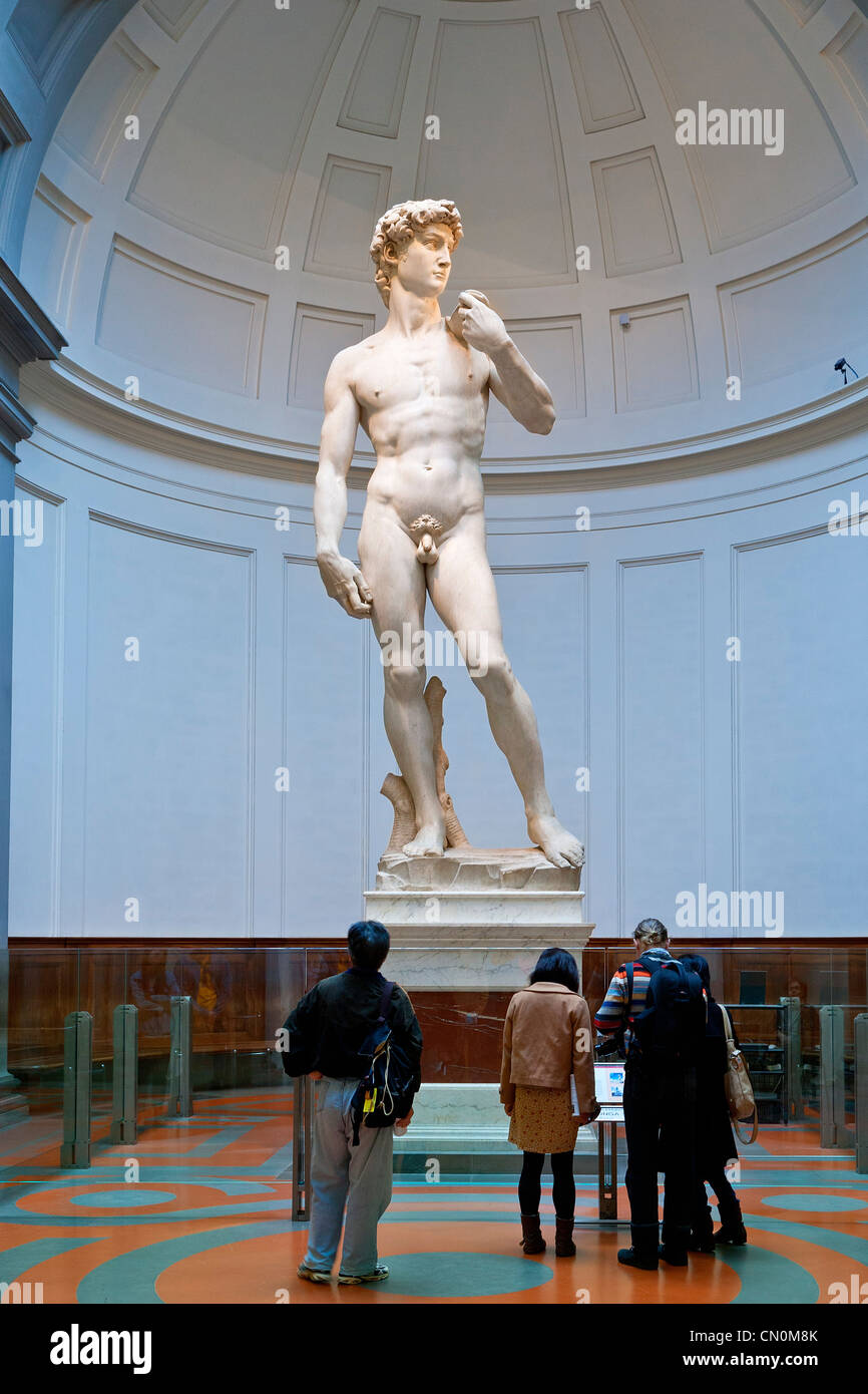 L'Europa, Italia, Firenze, Accademia di Belle Arti, David di Michelangelo alla Galleria dell'Accademia Foto Stock