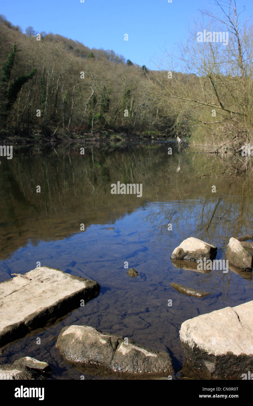 Livello basso di acqua sul fiume Severn a Trimpley, vicino a Bewdley, Inghilterra, Regno Unito. Tenuto ai primi di aprile 2012. Foto Stock