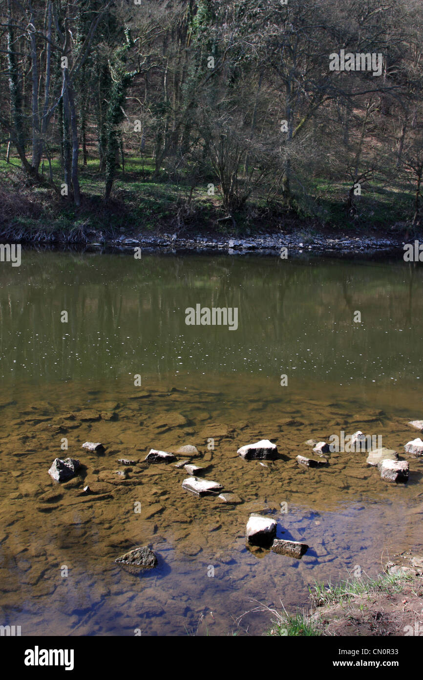 Livello basso di acqua sul fiume Severn a Trimpley, vicino a Bewdley, Inghilterra, Regno Unito. Tenuto ai primi di aprile 2012. Foto Stock