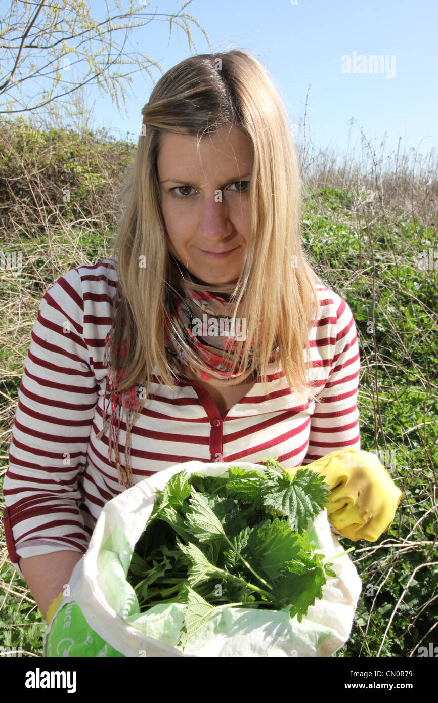 Donna rovistando per sensazioni puntorie ortiche nella campagna inglese Foto Stock