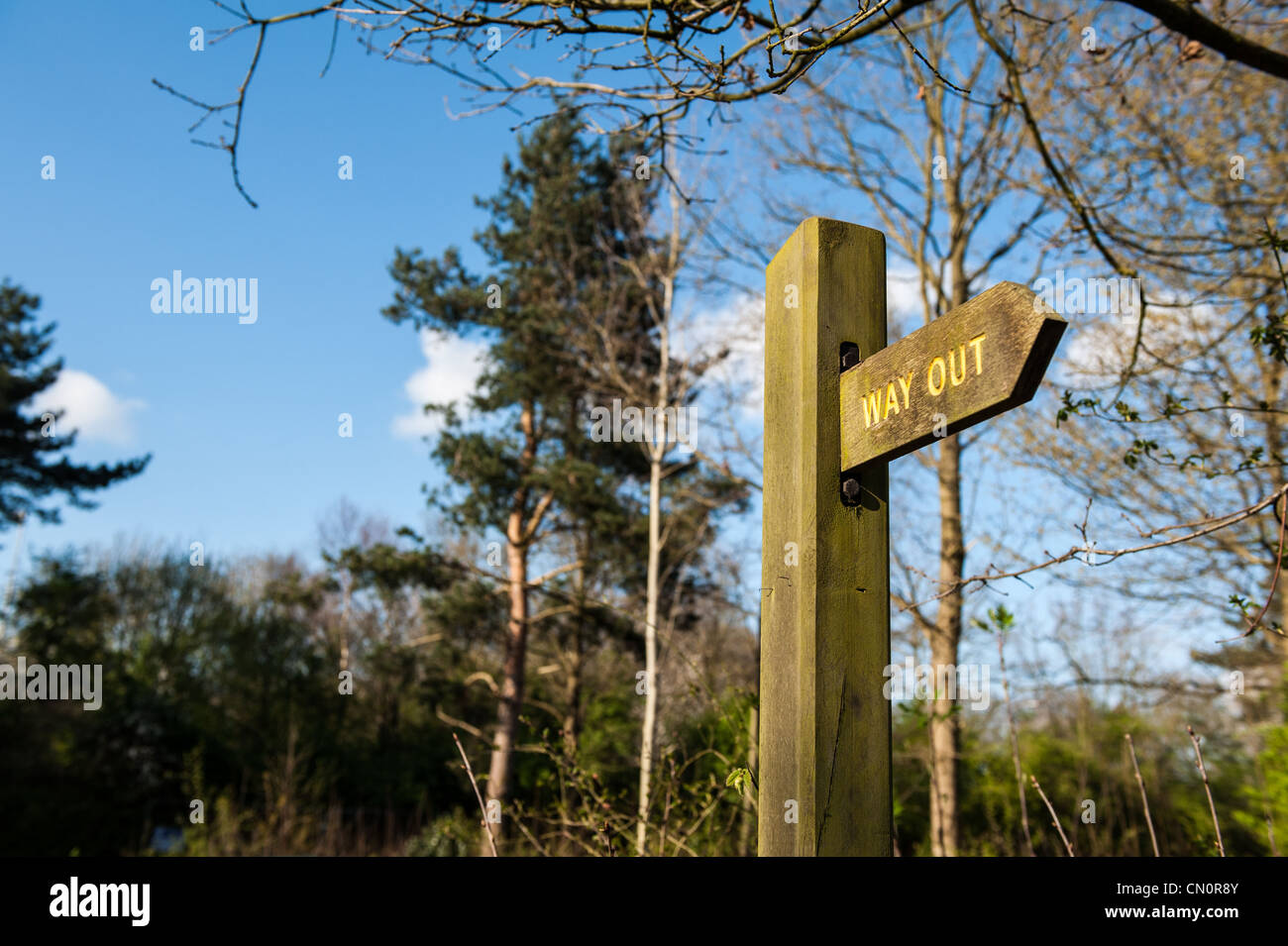 Uscita segnaletica Foto Stock