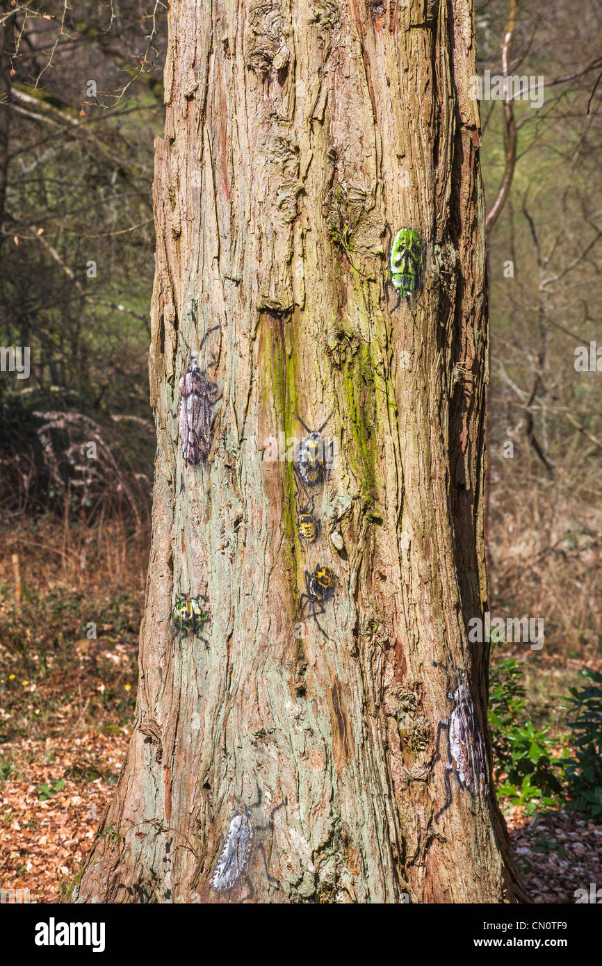 Marciume tronchi di alberi con le foto di coleotteri e altri insetti dipinti su corteccia Foto Stock