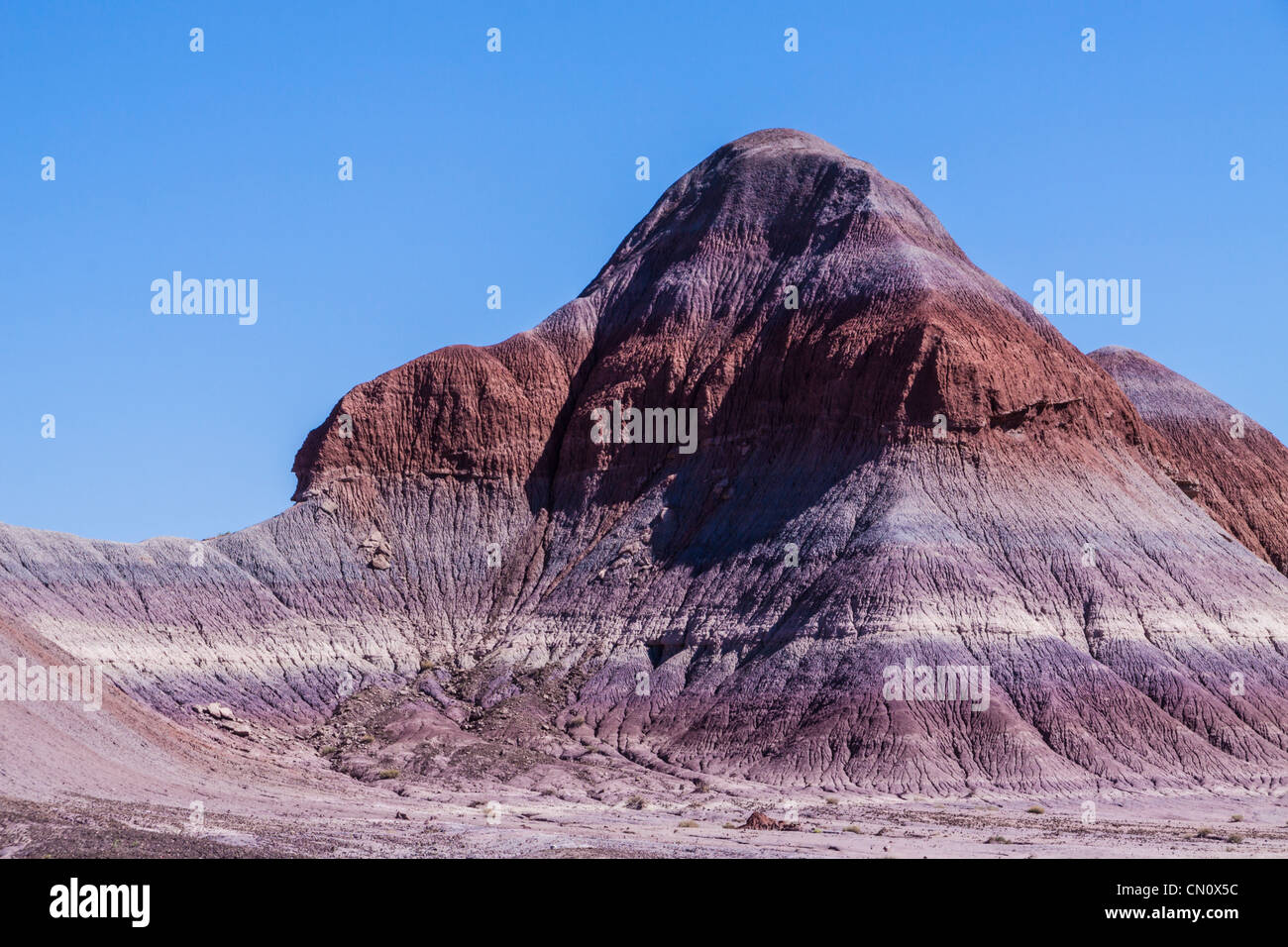 Deserto Dipinto paesaggi del Parco Nazionale della Foresta Pietrificata in Arizona. Foto Stock