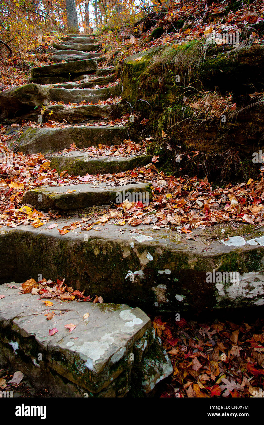 Gradini in pietra e foglie di autunno Foto Stock