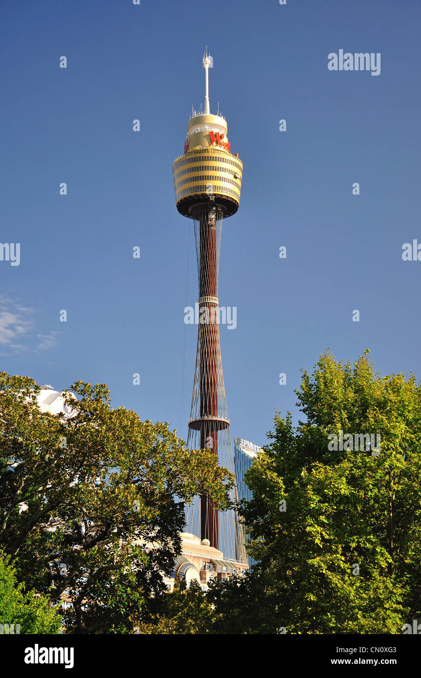 La Torre di Sydney nel quartiere affaristico centrale di Sydney, Nuovo Galles del Sud, Australia Foto Stock