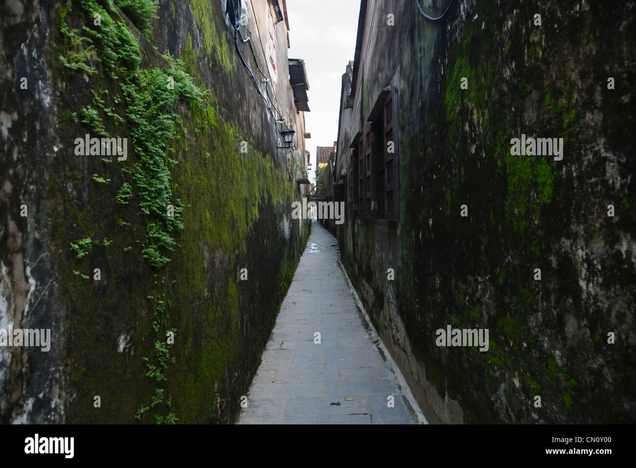 Stradina di casa tradizionale antica città di Hoi An, sito Patrimonio Mondiale dell'UNESCO, Hoi An, Vietnam Foto Stock