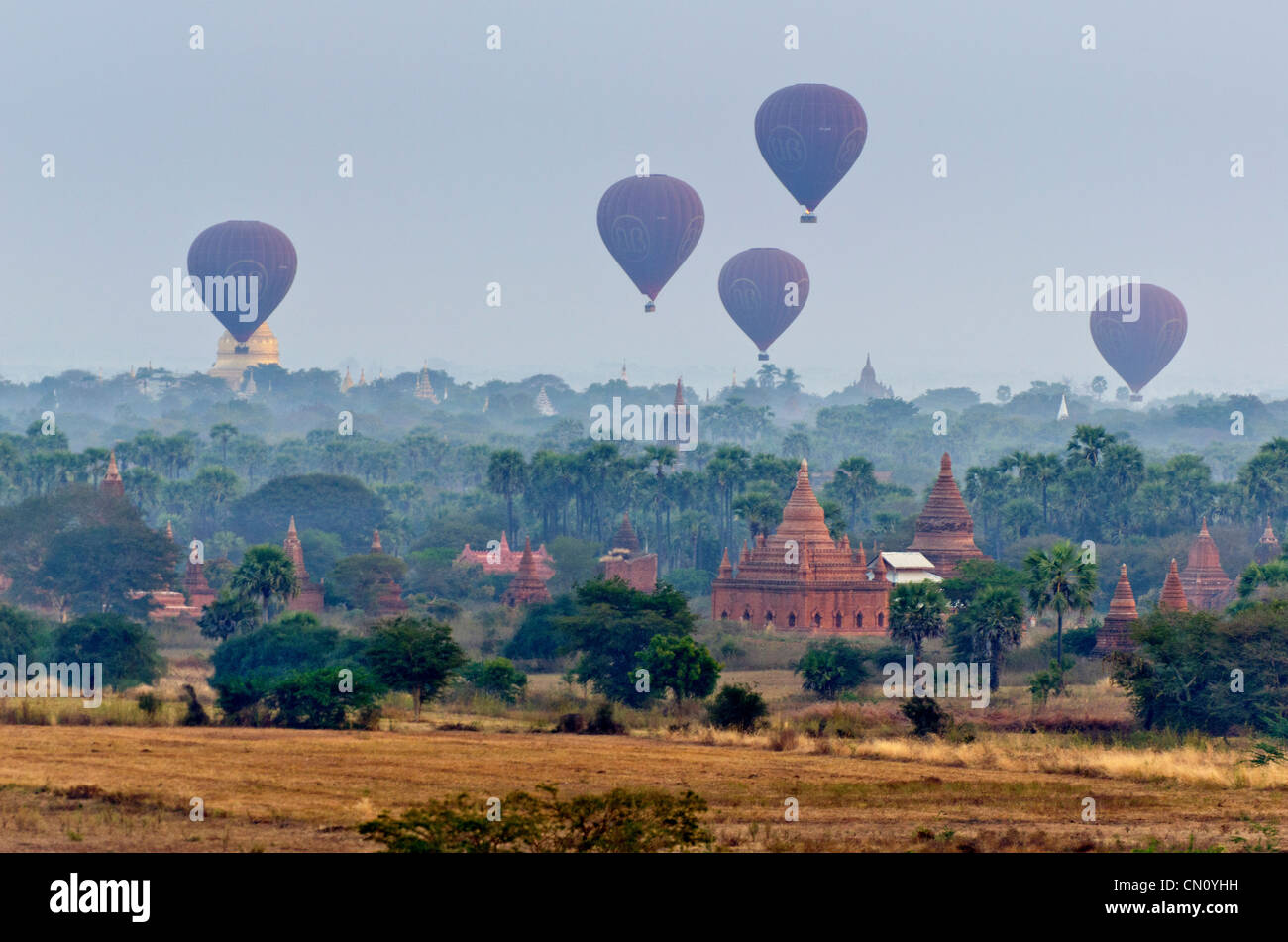Mongolfiere sorvolano Bagan all'alba, Myanmar Foto Stock