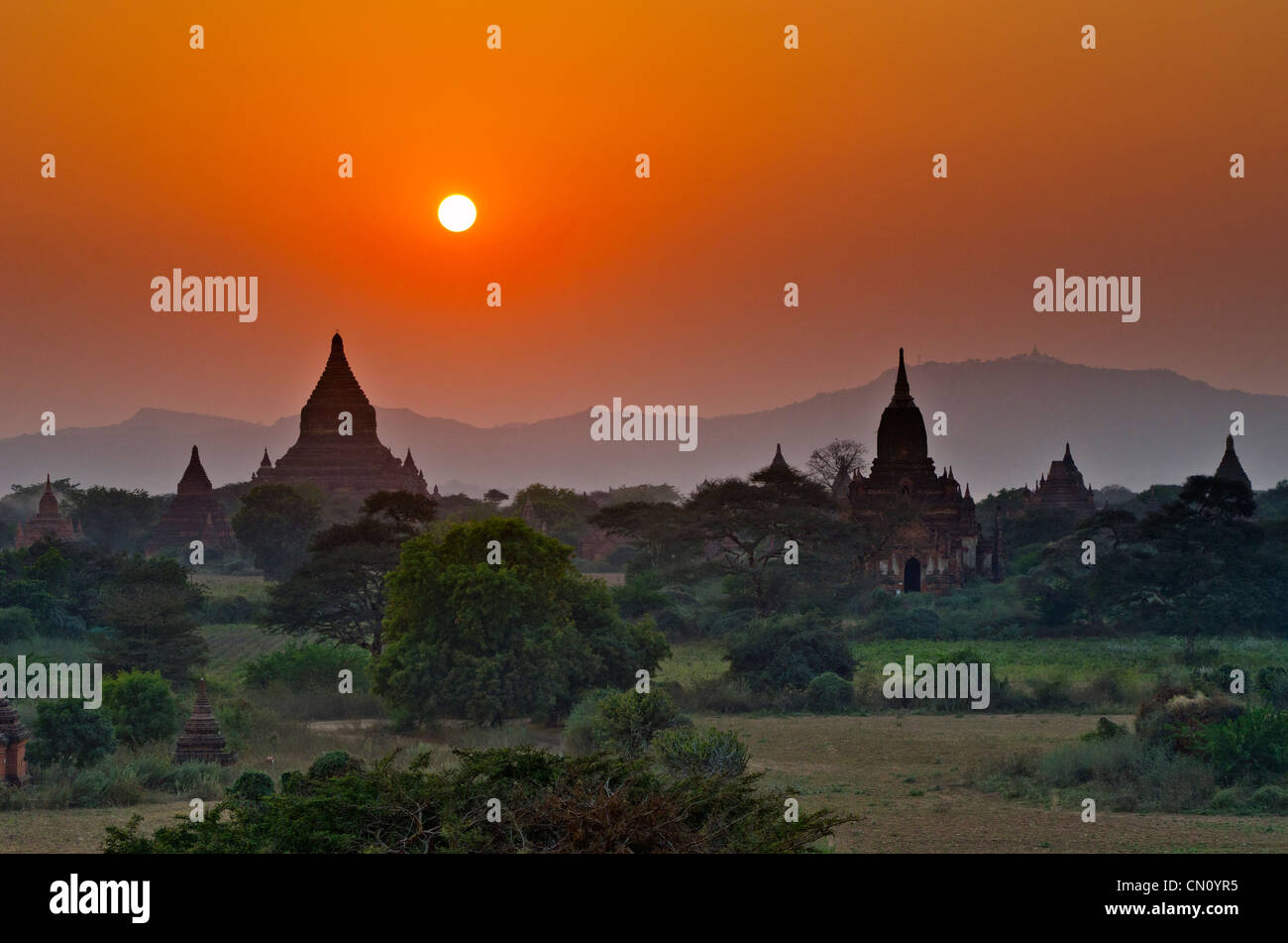 Tramonto dietro i templi, Bagan, Myanmar Foto Stock