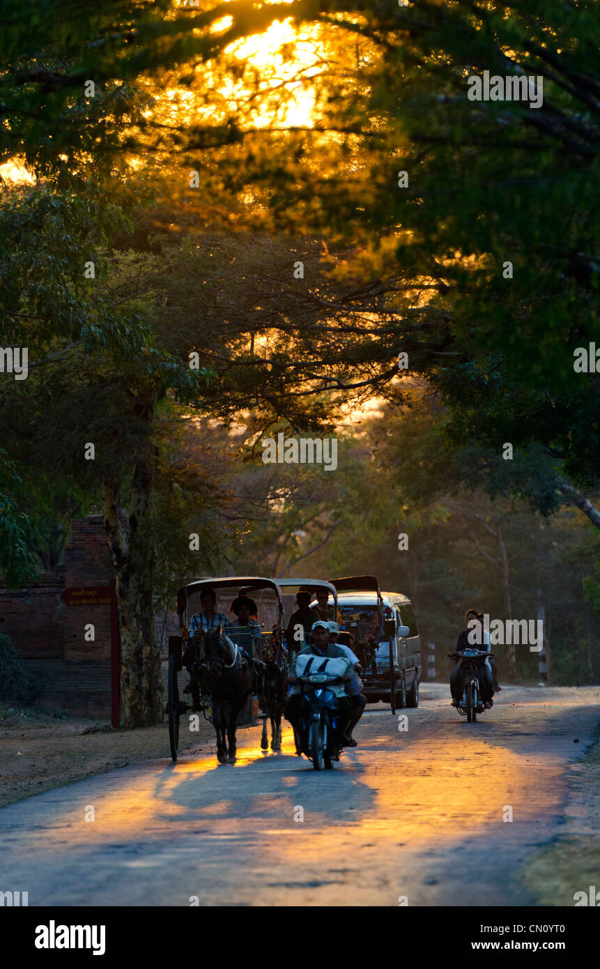 Il cavallo e la spesa del traffico su strada al tramonto, Bagan, Myanmar Foto Stock