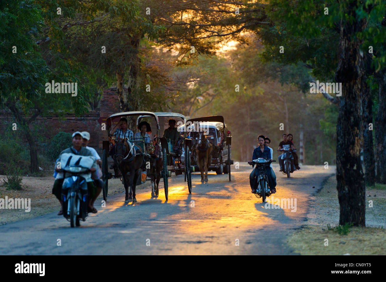 Il cavallo e la spesa del traffico su strada al tramonto, Bagan, Myanmar Foto Stock