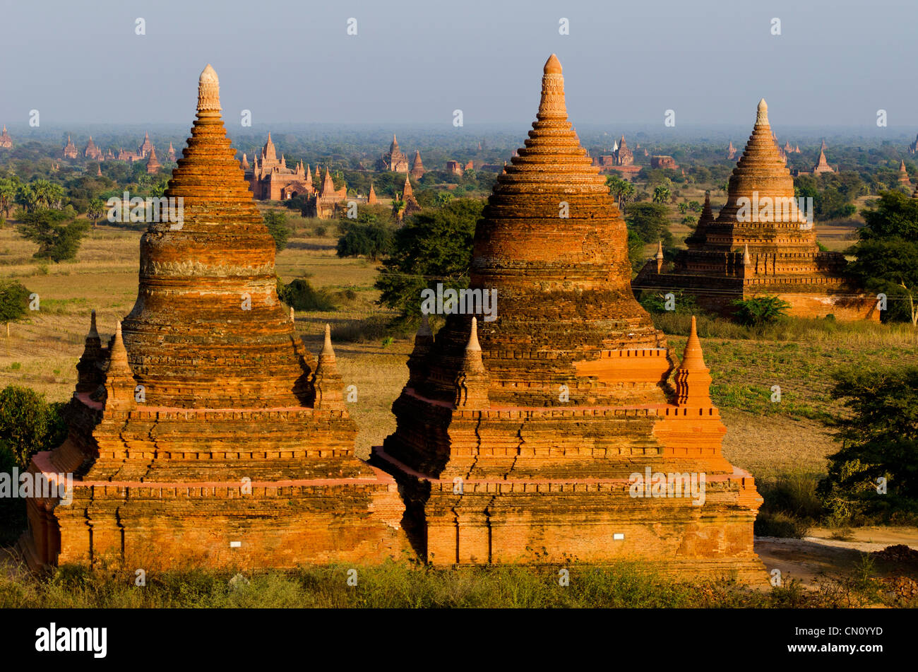 Templi, Bagan, Myanmar Foto Stock
