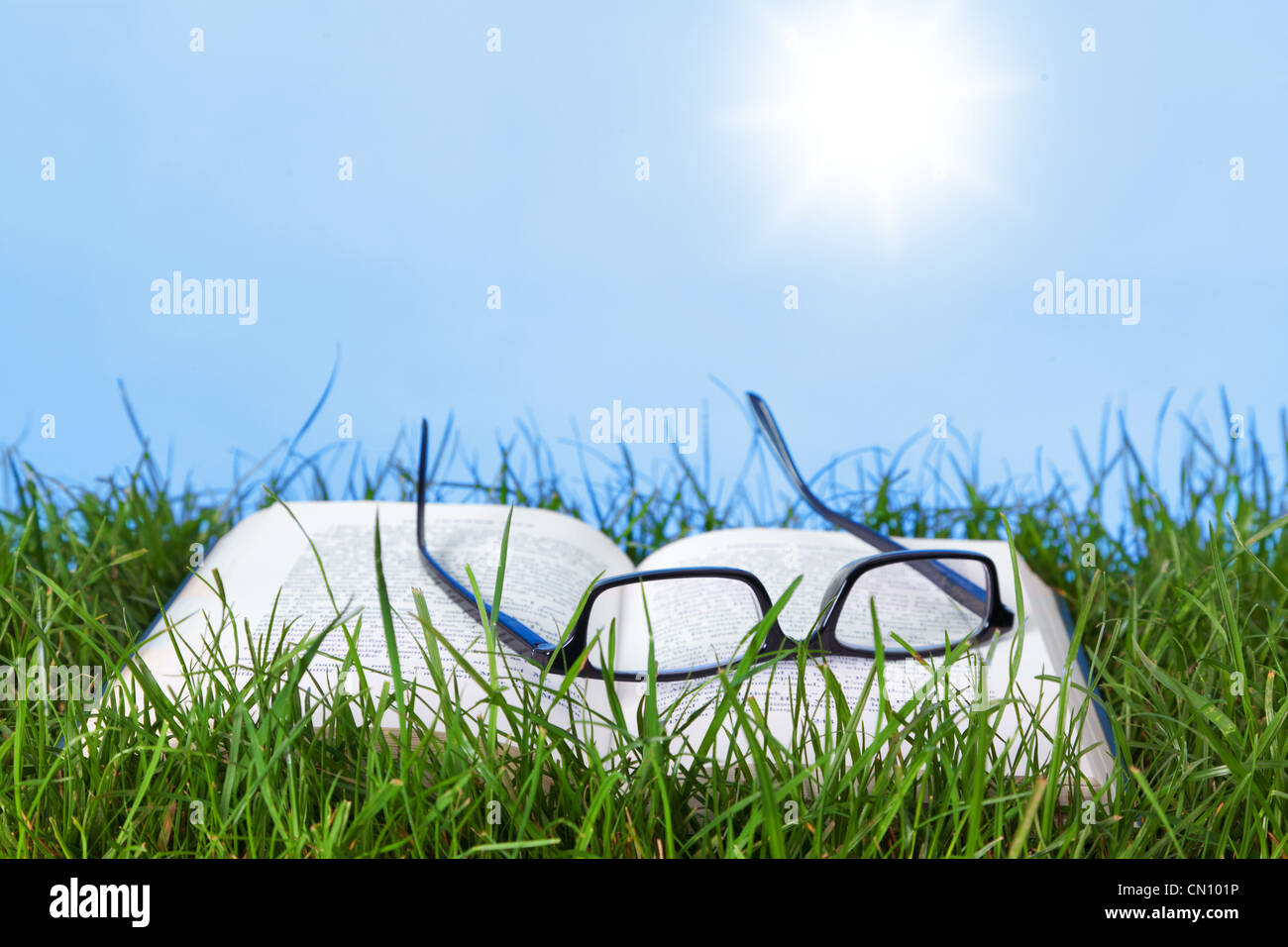 Foto di un libro aperto e spettacoli all'aperto in erba su una luminosa giornata di sole Foto Stock