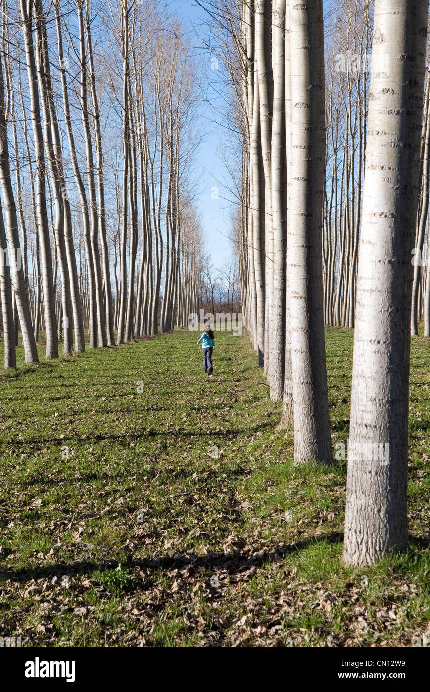 Giovane ragazza che corrono tra gli alti alberi Foto Stock